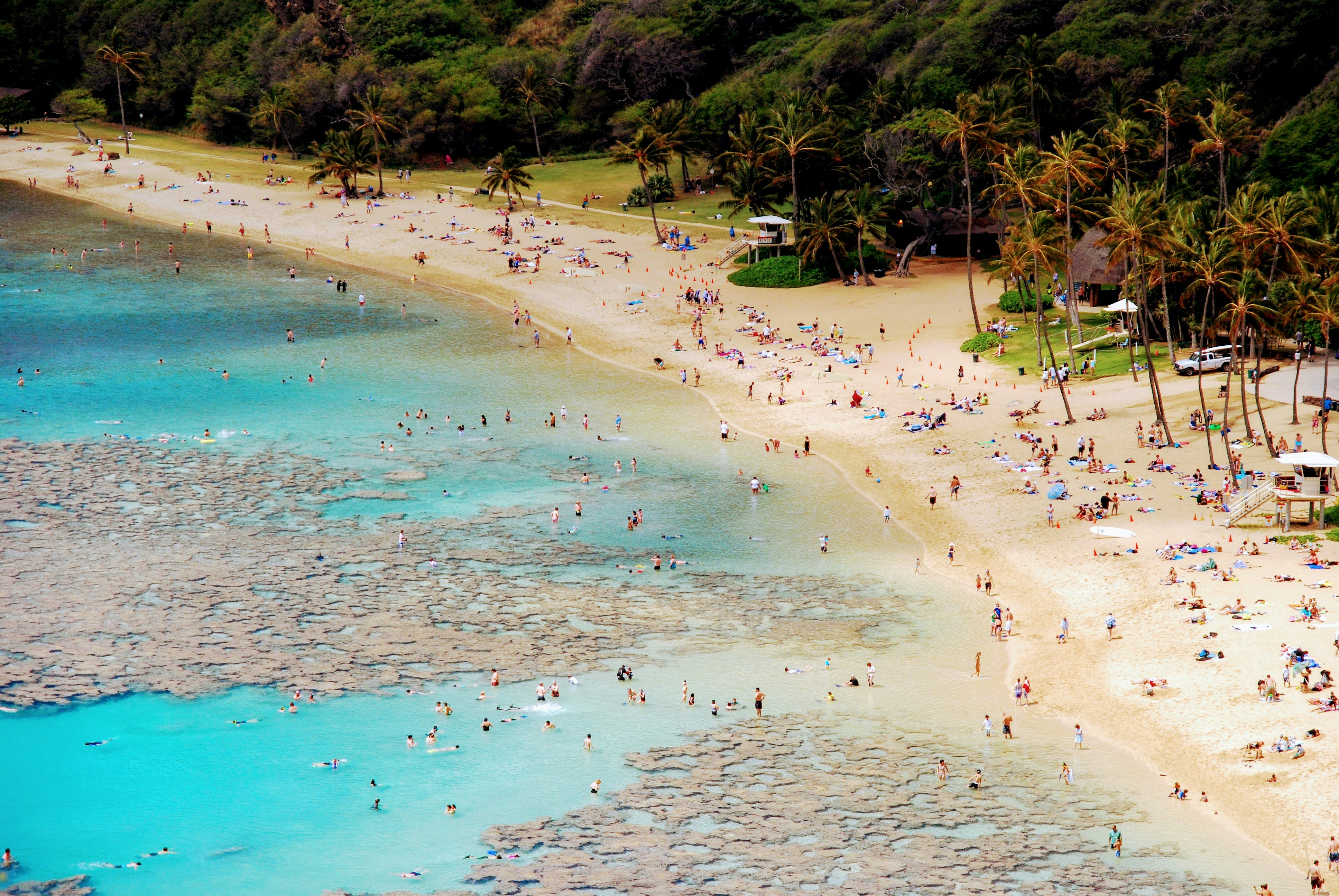 aerial view of people on seashore